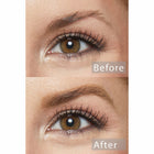 Champagne Blonde Pencil - Essential Set