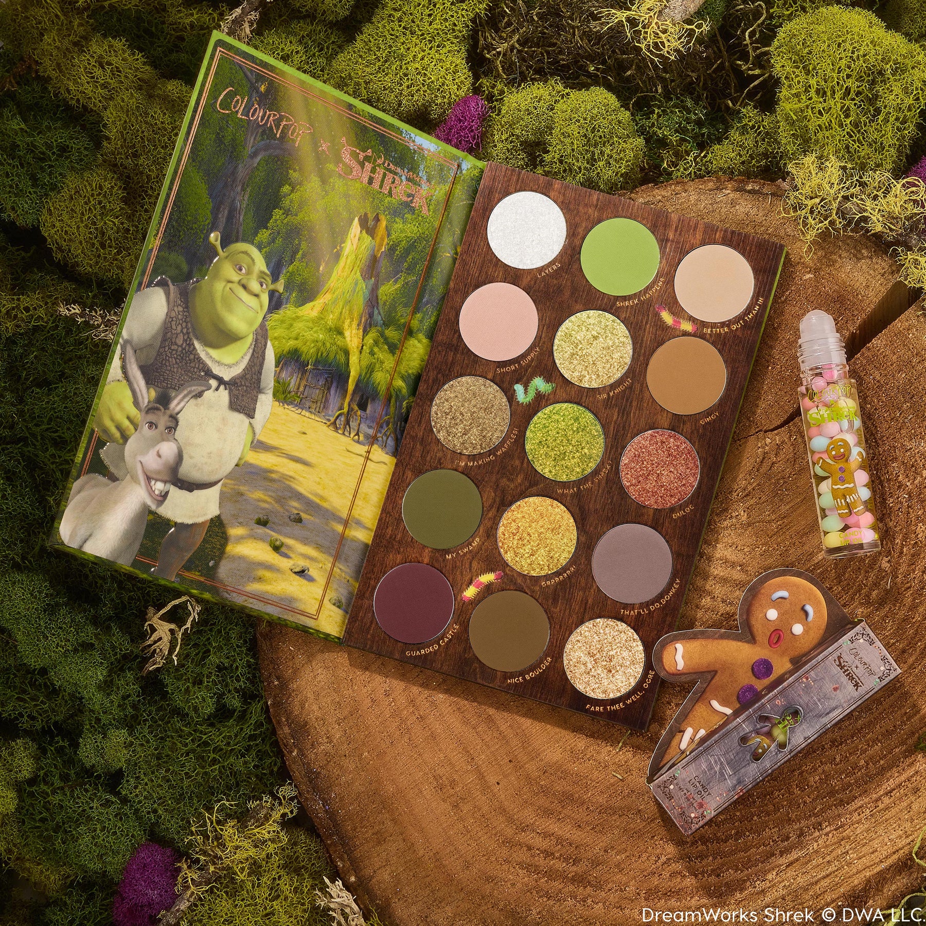 Shrek-Spress Yourself - Gift Ready